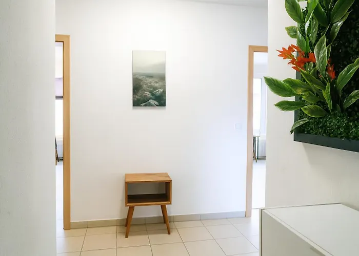 Livemore24 - 1 In Wlan - Smart-tv - 24-7 Check-in Und Kueche * Duisburg